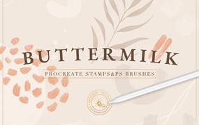 抽象画笔印章Procreate和ps笔刷 90 Procreate Stamps&Photoshop Brushes