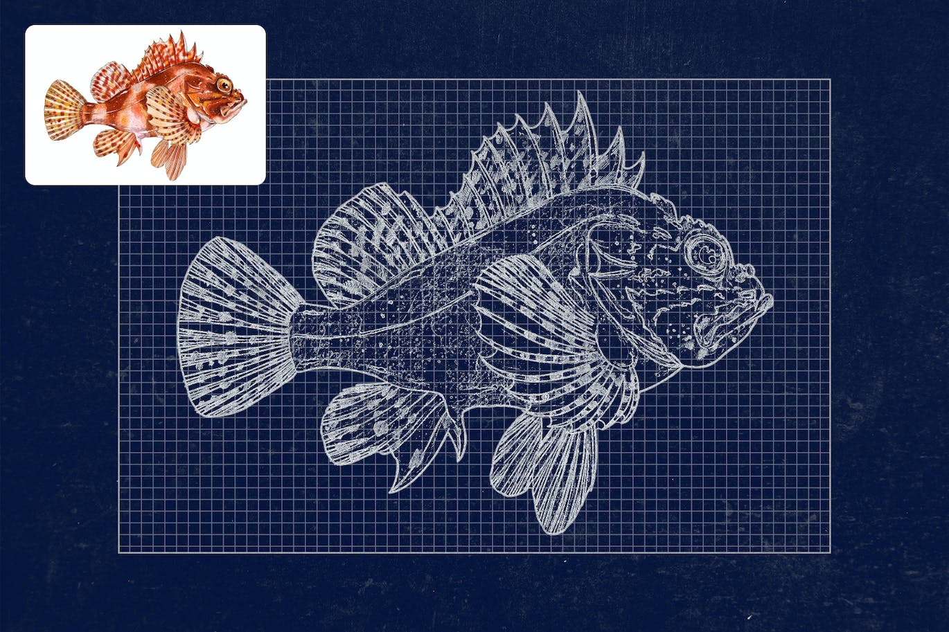 设计蓝图效果PS动作模板 Fake Blueprint Photoshop Action 插件预设 第5张-素材湾丨精选海外优质设计素材资源 设计蓝图效果PS动作模板 Fake Blueprint Photoshop Action 插件预设 sucaiwan.com