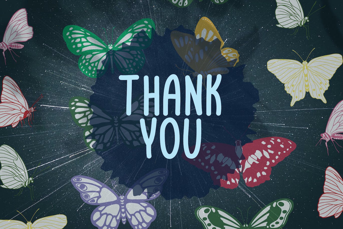 蝴蝶Procreate印章绘画笔刷素材 Butterfly Brush Stamp Procreate 笔刷资源 sucaiwan.com