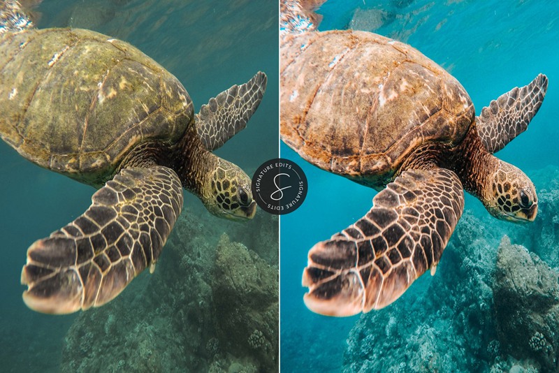 10款夏季多彩彩暑假氛围绚丽的旅拍热带青橙色蓝调LR预设 Summer Punch Lightroom Presets 插件预设 sucaiwan.com