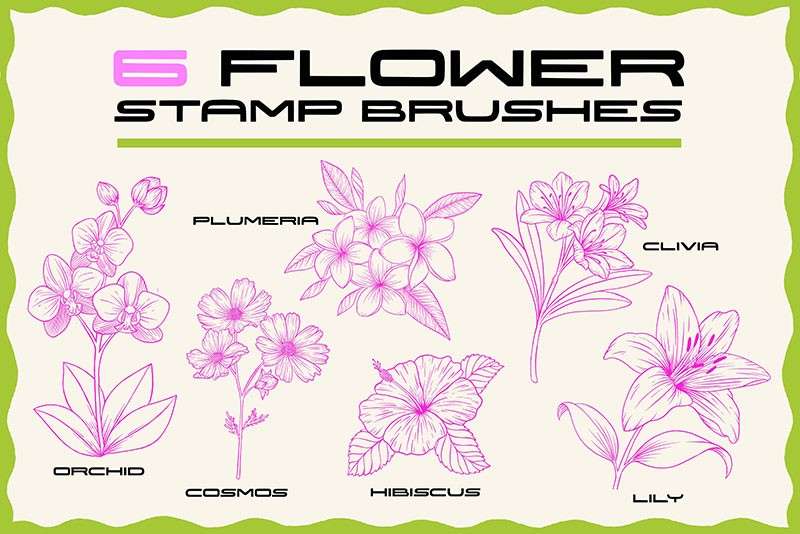 24个动物植物图案Procreate笔刷 笔刷资源 第4张-素材湾丨精选海外优质设计素材资源 24个动物植物图案Procreate笔刷 笔刷资源 sucaiwan.com