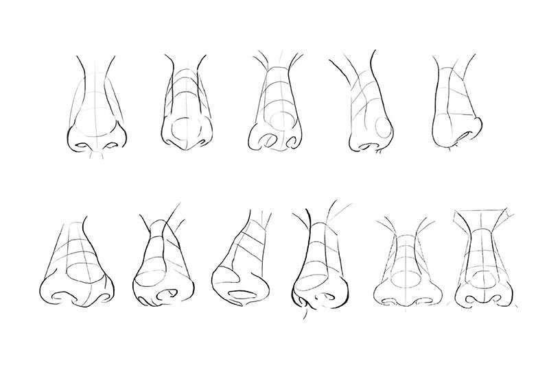 10个角度鼻子线稿Procreate笔刷 笔刷资源 sucaiwan.com
