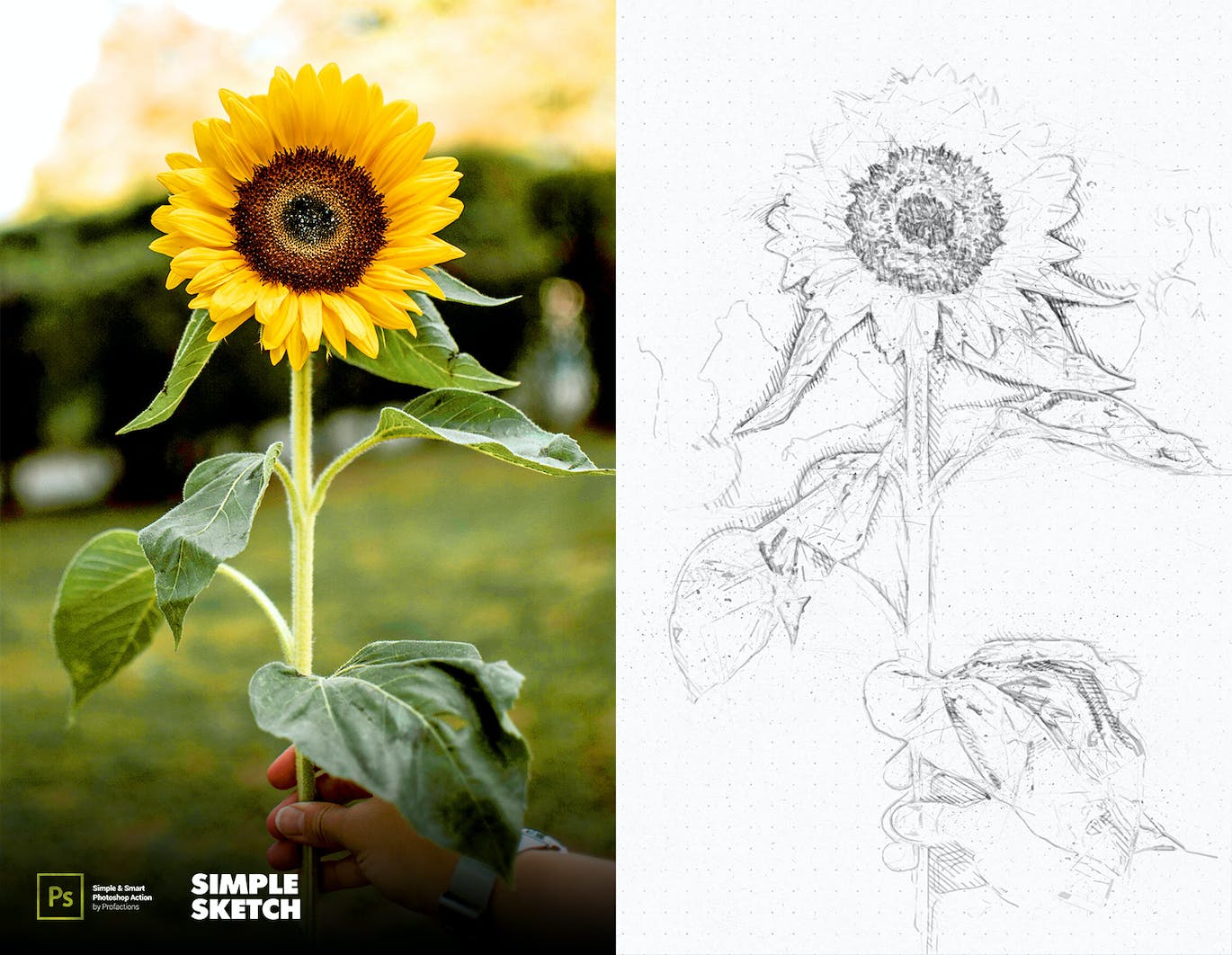 简单素描效果照片处理ps动作 Simple Sketch Photoshop Action 插件预设 sucaiwan.com