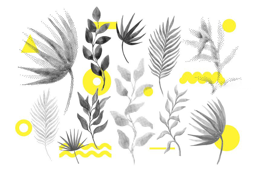 PNG素材-60款极简设计抽象几何图形矢量海报PNG元素 图片素材 sucaiwan.com