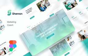 营销教学辅导网站设计Figma模板 Shannon Marketing Coach Figma Template
