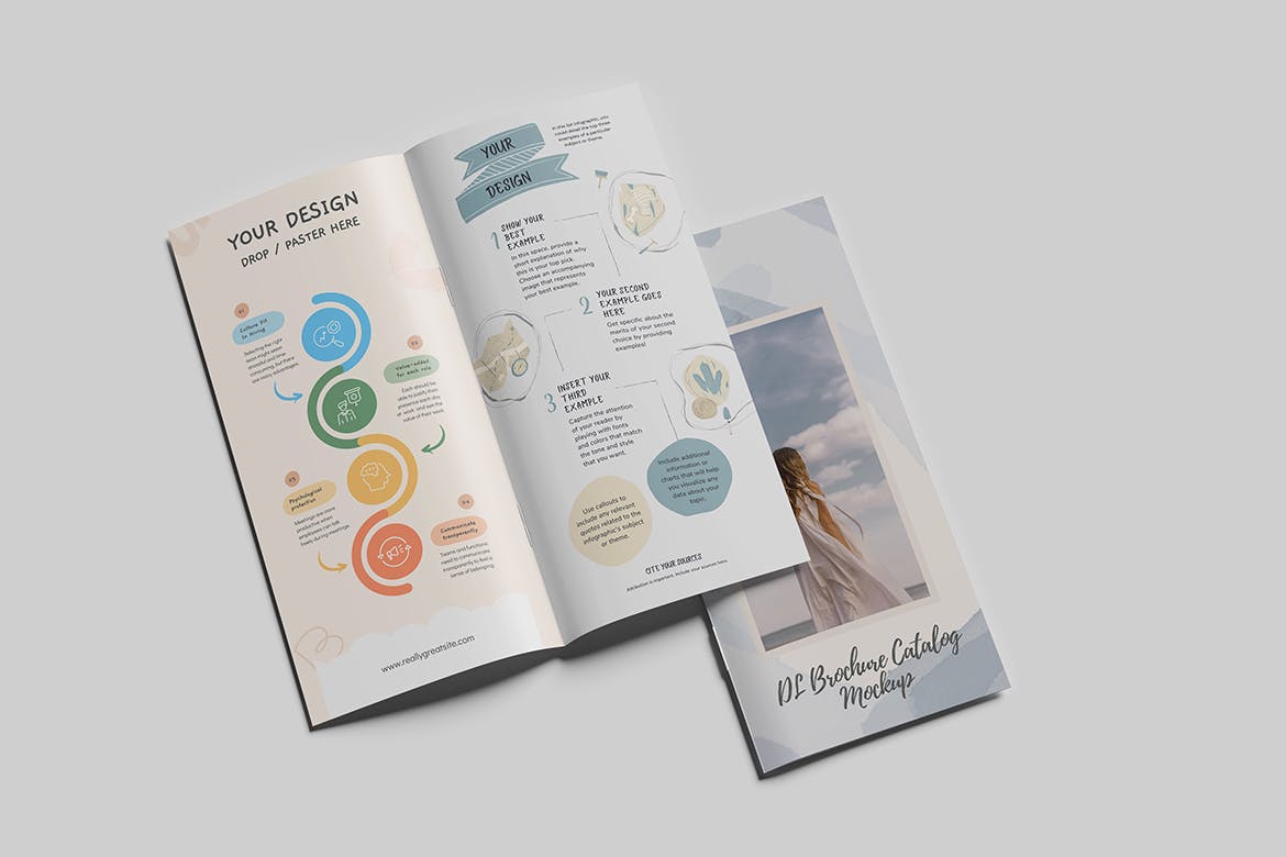 DL尺寸产品宣传册设计样机 DL Brochure Mockup 样机素材 sucaiwan.com