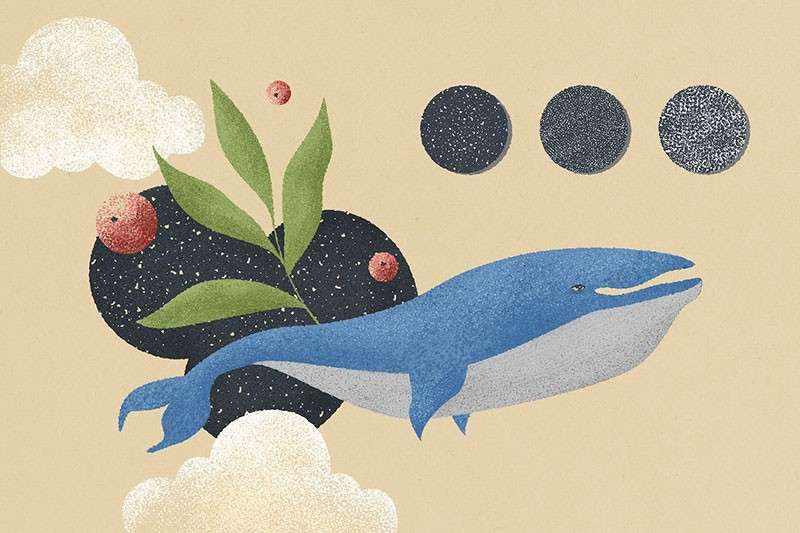 25个噪点插画纹理PS笔刷 笔刷资源 sucaiwan.com