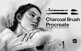 Procreate速写素描笔刷