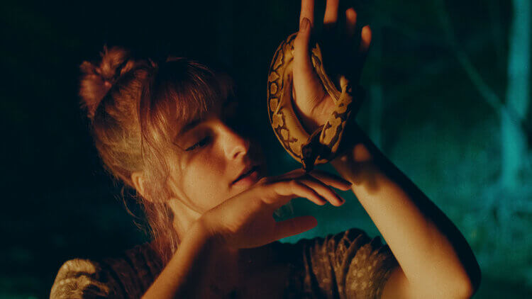 CinePrint16 复古电影胶片光晕纹理灰尘质感PowerGrade调色节点达芬奇调色预设 插件预设 sucaiwan.com