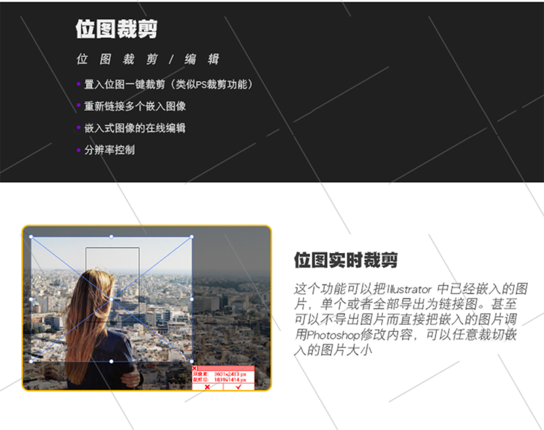 AI插件-AI2023插件更新了，AI相切吸附插件Subscribe 插件预设 sucaiwan.com