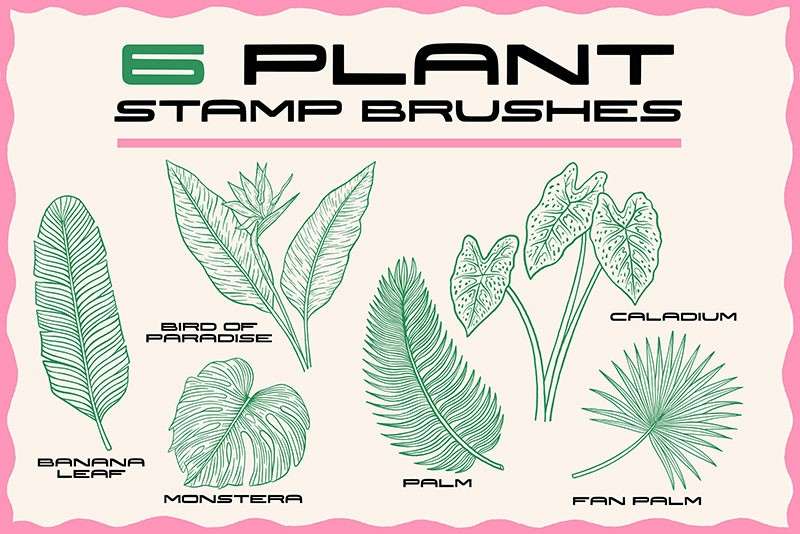 24个动物植物图案Procreate笔刷 笔刷资源 第3张-素材湾丨精选海外优质设计素材资源 24个动物植物图案Procreate笔刷 笔刷资源 sucaiwan.com