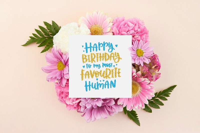 54个Illustrator闪粉亮片样式 笔刷资源 sucaiwan.com