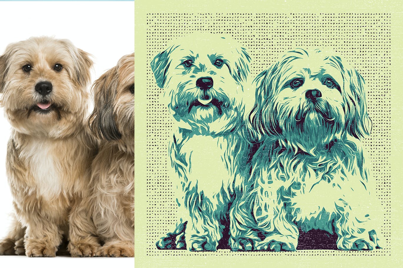 波普艺术PS照片效果模板 POP ART Photoshop Effect 插件预设 sucaiwan.com