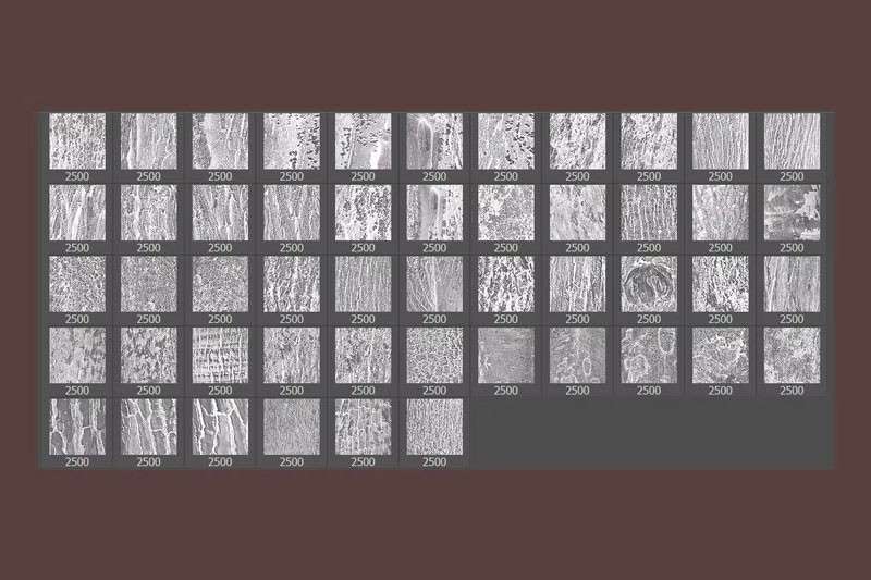 50个树皮木纹图案PS笔刷 笔刷资源 sucaiwan.com