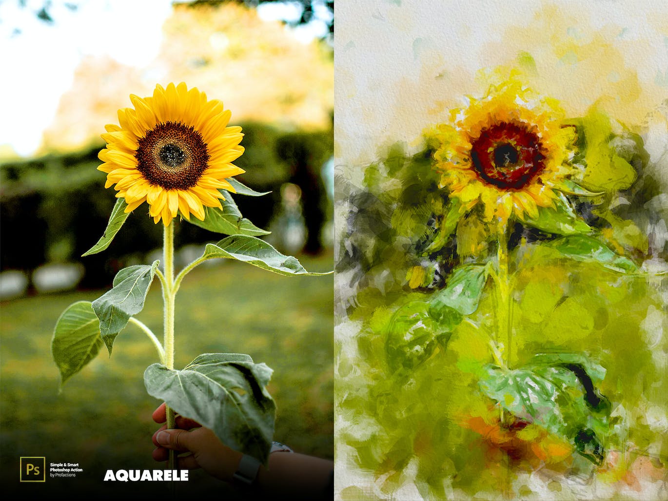 水彩画效果照片处理ps动作 Aquarelle Photoshop Action 插件预设 sucaiwan.com