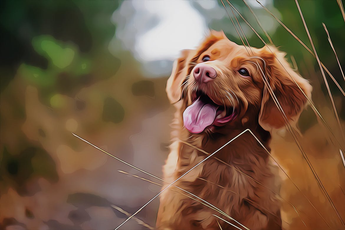 宠物卡通绘画PS照片效果模板 Pets Paint Photoshop Effect 插件预设 sucaiwan.com