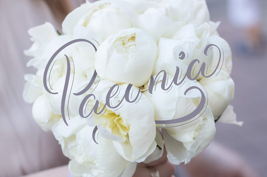 Procreate笔刷-粉笔水彩噪点墨水艺术字笔刷素材 笔刷资源 sucaiwan.com