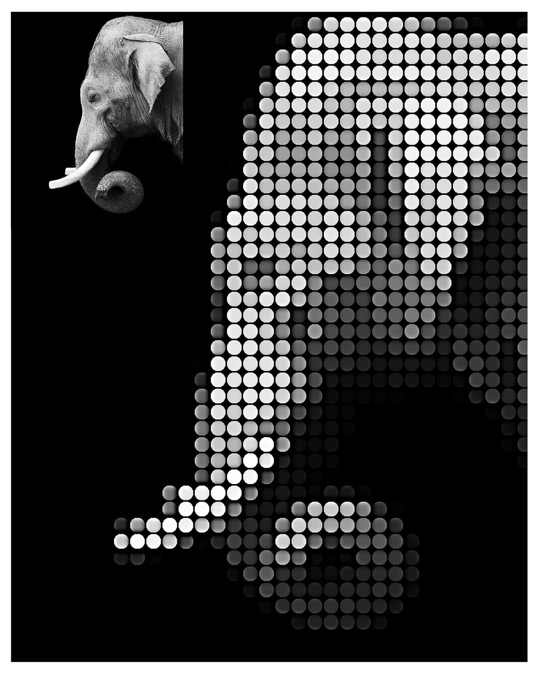 像素点画照片处理效果PS动作模板 Dot Creator – Photoshop Action 插件预设 第2张-素材湾丨精选海外优质设计素材资源 像素点画照片处理效果PS动作模板 Dot Creator – Photoshop Action 插件预设 sucaiwan.com