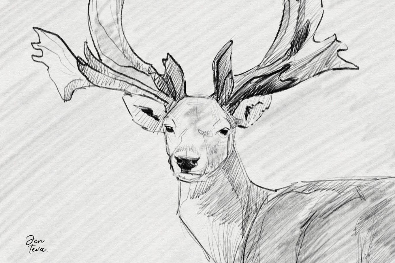 用于Procreate的石墨铅笔笔刷 Graphite Pencils for Procreate 笔刷资源 sucaiwan.com