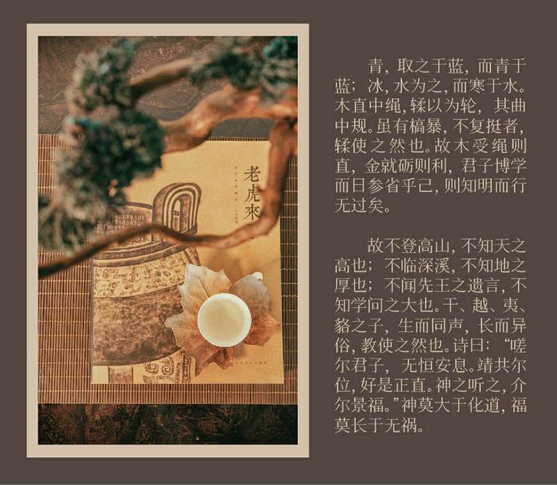 飞花宋体，免费可商用 设计素材 sucaiwan.com