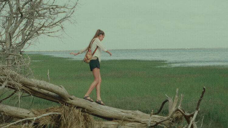 CinePrint16 复古电影胶片光晕纹理灰尘质感PowerGrade调色节点达芬奇调色预设 插件预设 sucaiwan.com