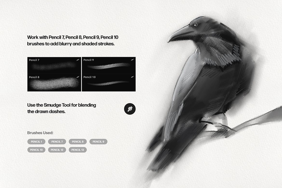 铅笔素描Procreate笔刷 Basic Pencil Procreate Brushes 笔刷资源 第4张-素材湾丨精选海外优质设计素材资源 铅笔素描Procreate笔刷 Basic Pencil Procreate Brushes 笔刷资源 sucaiwan.com