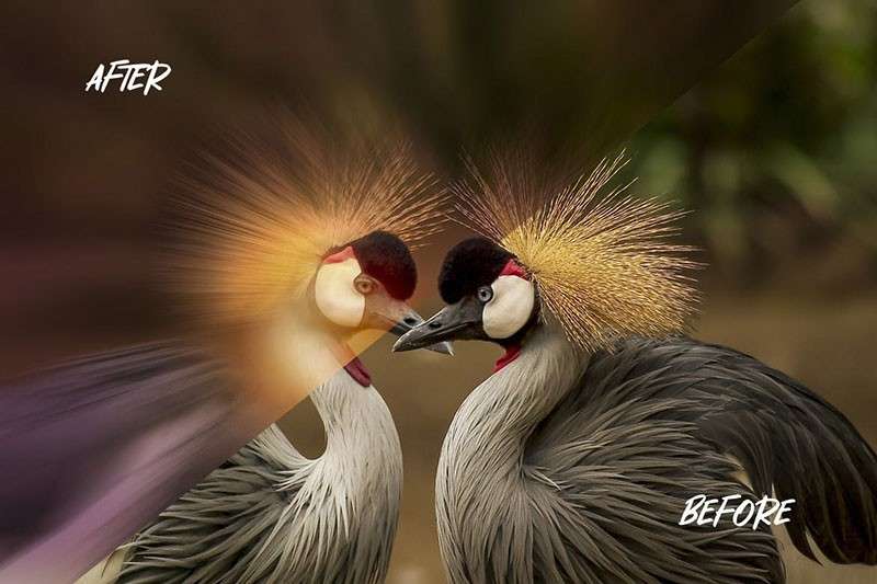 照片拖影拍摄效果PS图层样式 插件预设 sucaiwan.com