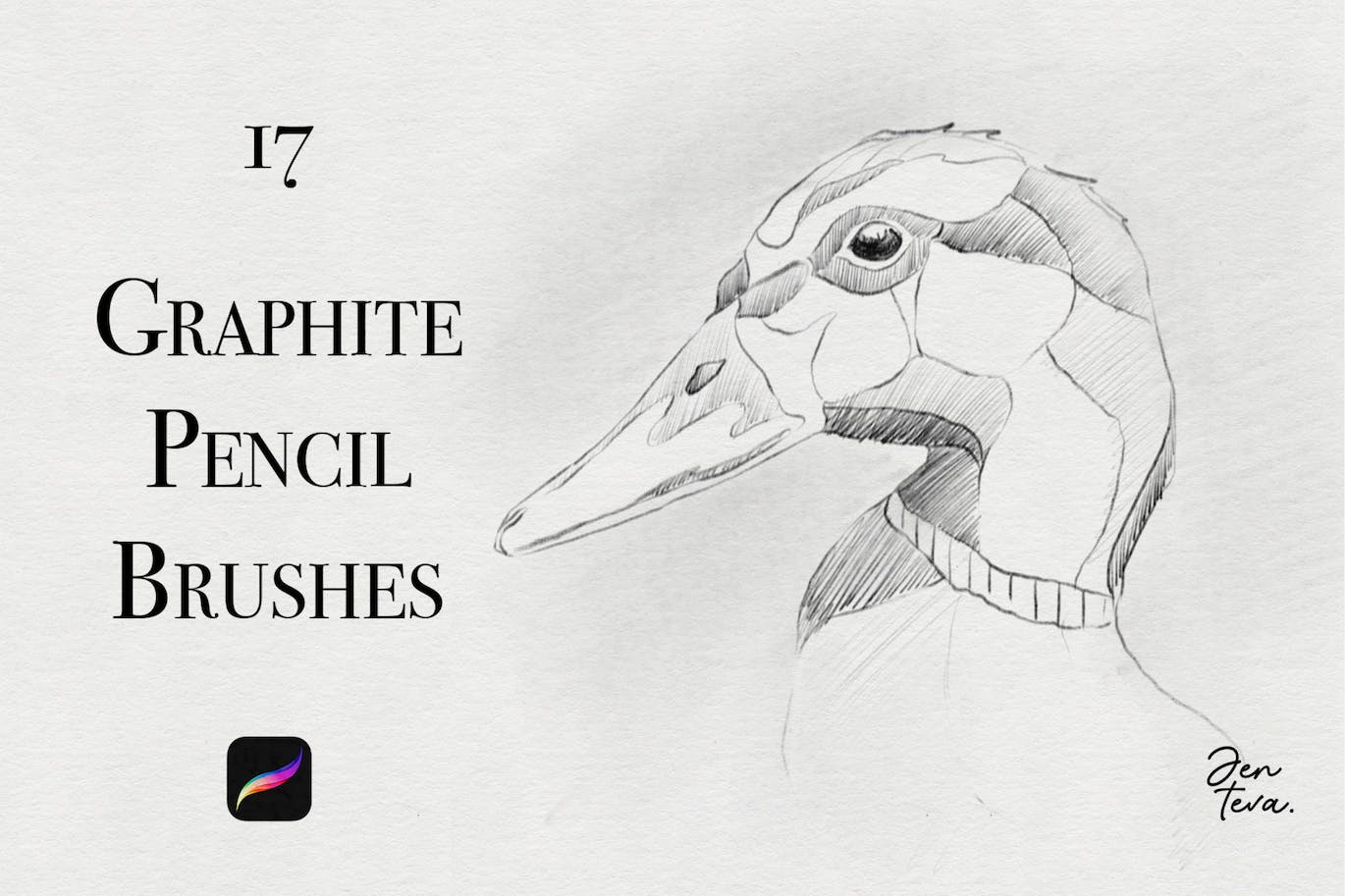 用于Procreate的石墨铅笔笔刷 Graphite Pencils for Procreate 笔刷资源 sucaiwan.com