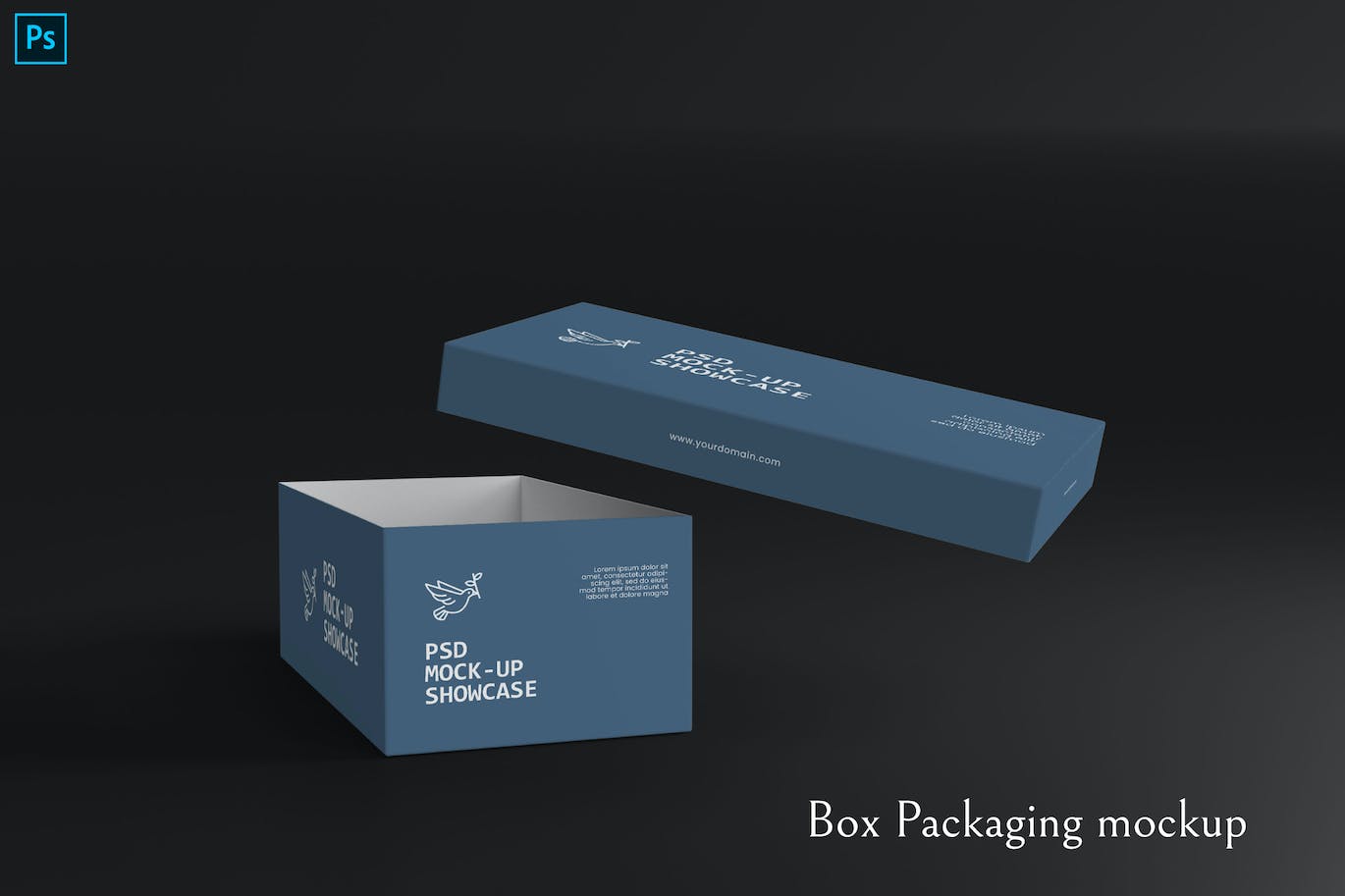 盒子外观包装设计样机 Box Packaging mockup 样机素材 sucaiwan.com