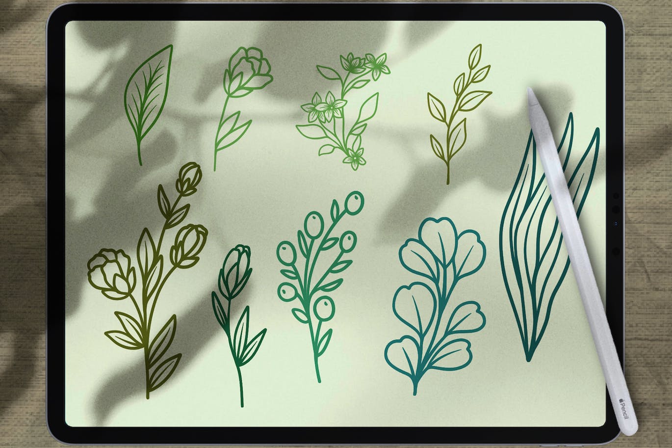 花卉Procreate印章绘画笔刷素材 Dans Floral Stamp Brush Procreate 笔刷资源 sucaiwan.com