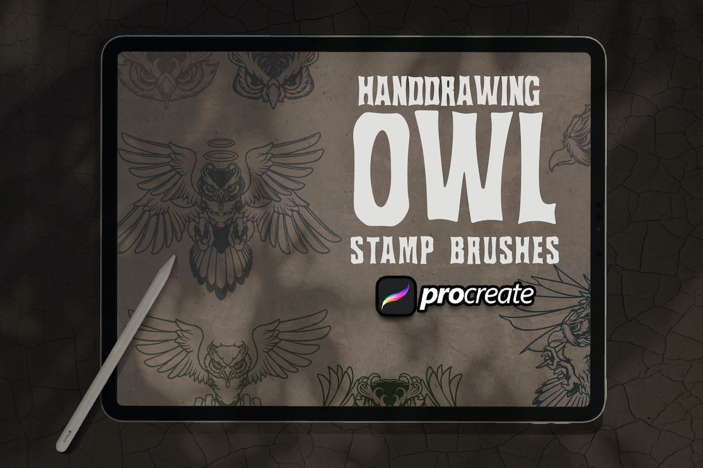 猫头鹰Procreate印章绘画笔刷素材 Owl Handrawing Brush Stamp Procreate 笔刷资源 sucaiwan.com
