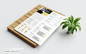 简洁现代的CV简历模板 Resume