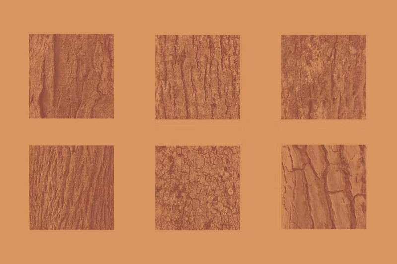 50个树皮木纹图案PS笔刷 笔刷资源 sucaiwan.com