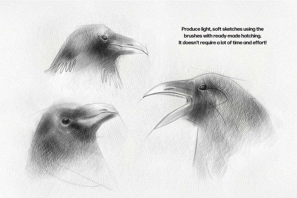 铅笔素描Procreate笔刷 Basic Pencil Procreate Brushes 笔刷资源 第8张-素材湾丨精选海外优质设计素材资源 铅笔素描Procreate笔刷 Basic Pencil Procreate Brushes 笔刷资源 sucaiwan.com