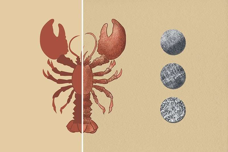 25个噪点插画纹理PS笔刷 笔刷资源 sucaiwan.com