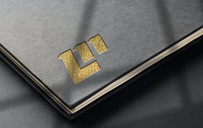 产品书籍封面标志Logo设计样机 product paper book logo mockup