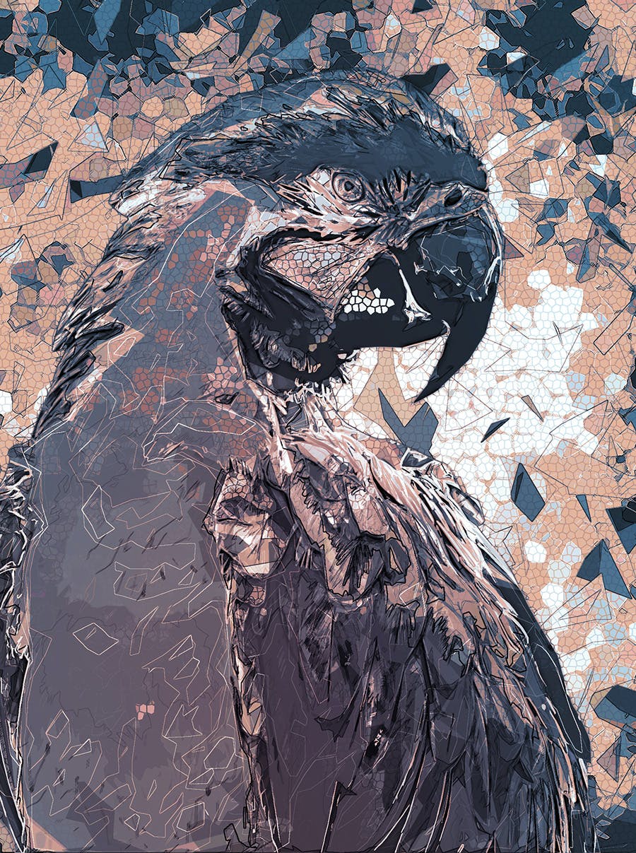 抽象肖像照片处理效果PS动作模板 Abstract Portrait – Photoshop Action 插件预设 第5张-素材湾丨精选海外优质设计素材资源 抽象肖像照片处理效果PS动作模板 Abstract Portrait – Photoshop Action 插件预设 sucaiwan.com