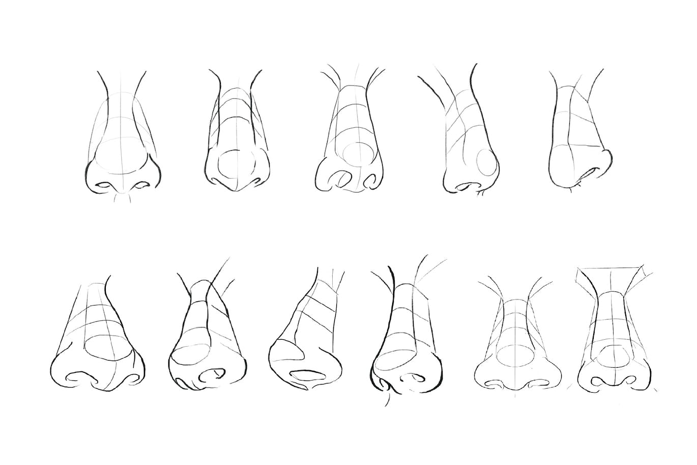 10个鼻子印章Procreate笔刷 10 Nose Stamp Procreate 笔刷资源 sucaiwan.com