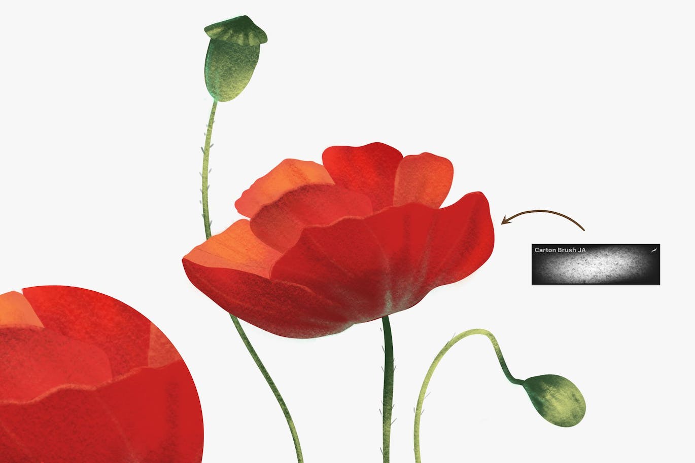 15个Procreate纹理笔刷 Texture brushes for Procreate 笔刷资源 sucaiwan.com