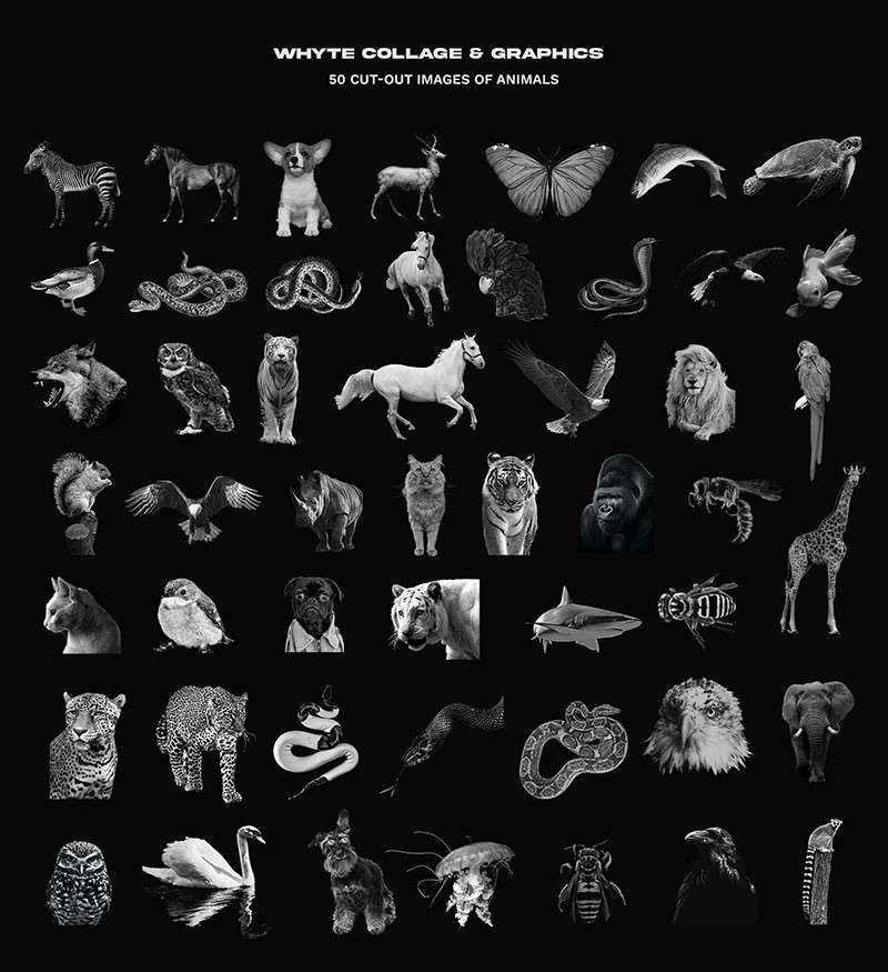 320+黑白雕塑艺术摆件拼贴手帐PNG免抠素材 图片素材 sucaiwan.com