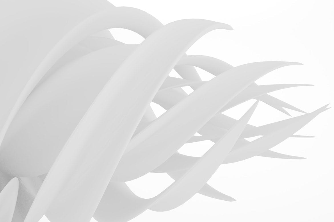 白色抽象生物形态背景素材v2 Biomorphic Backgrounds 2 图片素材 sucaiwan.com
