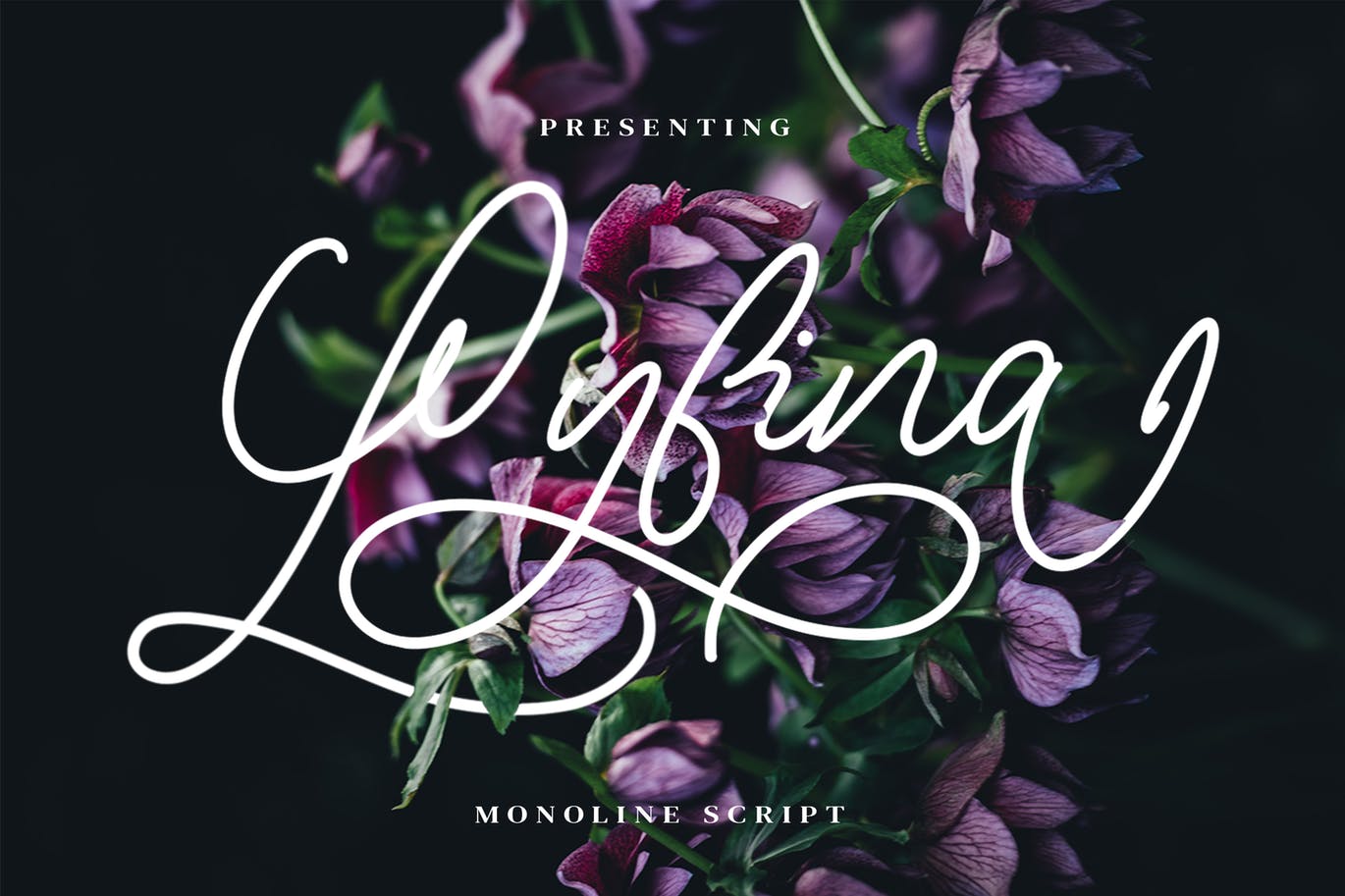 豪华深色单行手写字体 Lyfina Monoline Script 设计素材 sucaiwan.com