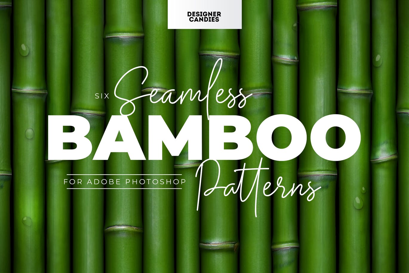独特的竹子图案素材 Bamboo Patterns 图片素材 sucaiwan.com