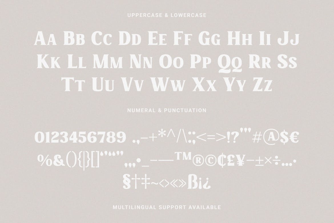 厚重而独特的衬线字体素材 Charmist – Thick And Unique Serif 设计素材 sucaiwan.com