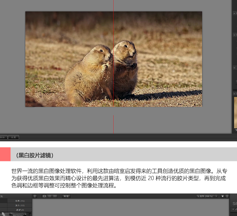 PS插件：2023最新版PS&LR插件Nik Collection by DxO v5.7.0调色降噪锐化滤镜插件附安装&使用视频教程支持win/mac/M1 插件预设 sucaiwan.com
