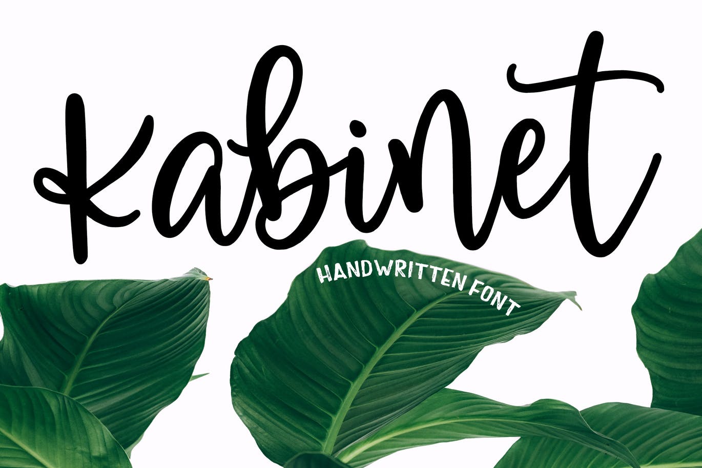 简单现代手写字体素材 Kabinet 设计素材 sucaiwan.com