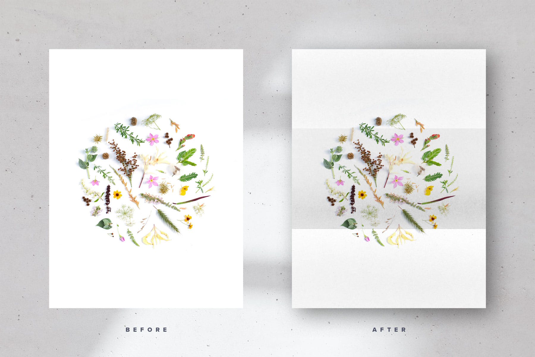 折叠纸张纹理包 Folded Paper Textures Pack 图片素材 sucaiwan.com