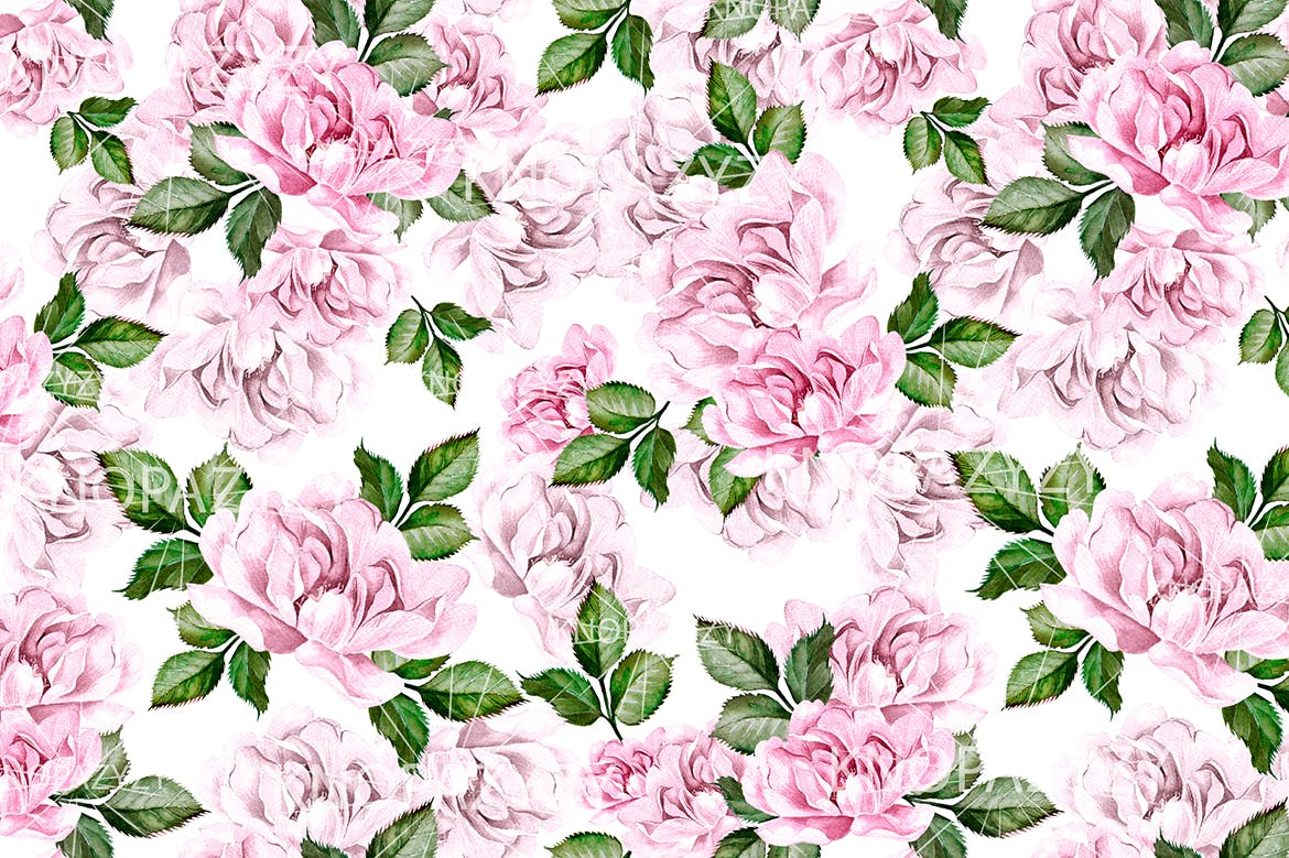 16个水彩多彩花朵图案素材 16 Watercolor Pattern 图片素材 sucaiwan.com