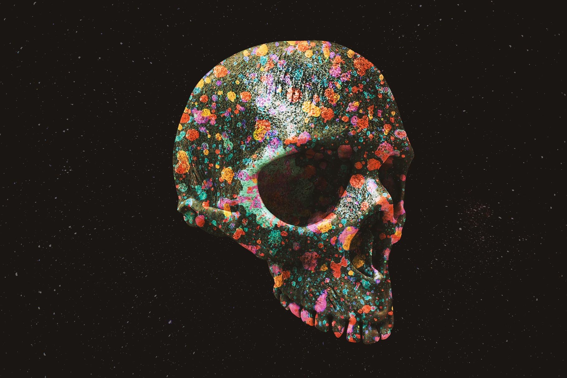 Skulls 108个高分辨率骷髅头骨逼真骨骼金属纹理PNG素材 图片素材 第10张-素材湾丨精选海外优质设计素材资源 Skulls 108个高分辨率骷髅头骨逼真骨骼金属纹理PNG素材 图片素材 sucaiwan.com