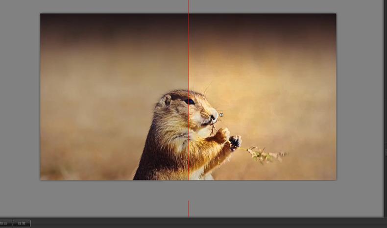 PS插件：2023最新版PS&LR插件Nik Collection by DxO v5.7.0调色降噪锐化滤镜插件附安装&使用视频教程支持win/mac/M1 插件预设 sucaiwan.com